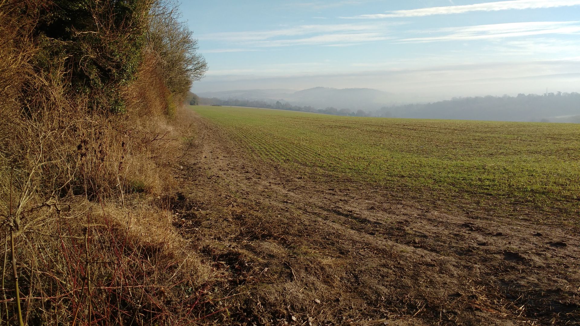 Another view from the Hog's Back